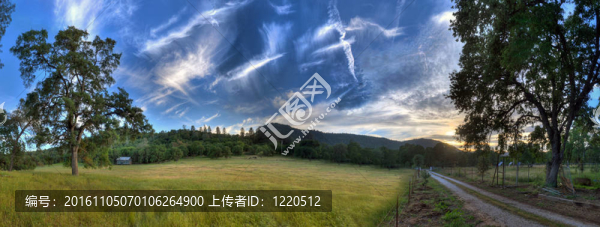 田野；樹木；天空；道路；山峰；太陽集