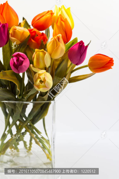 郁金香花束的一部分