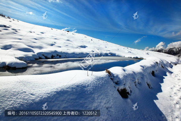 冬天湖景觀