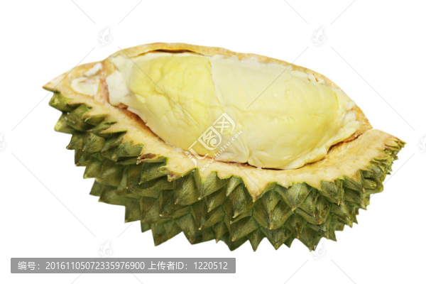 榴蓮丁香
