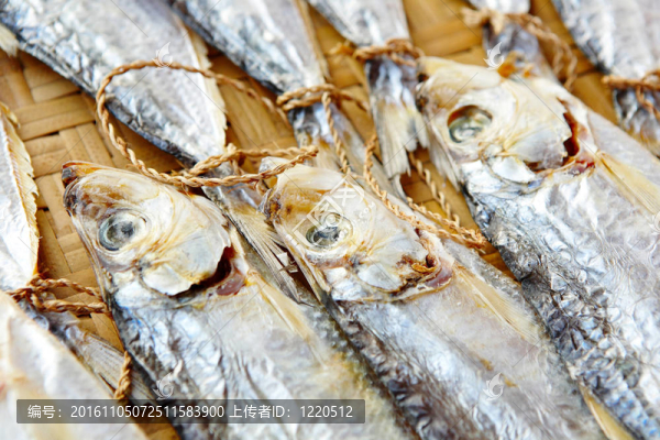 干鹽魚