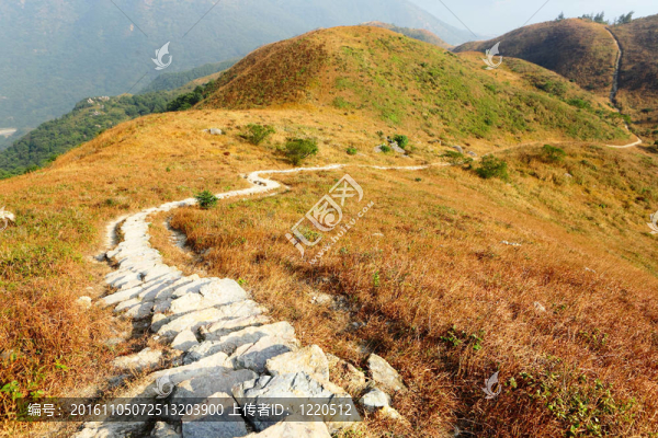 山間小道