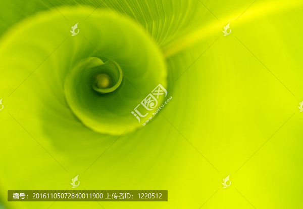 綠葉抽象背景