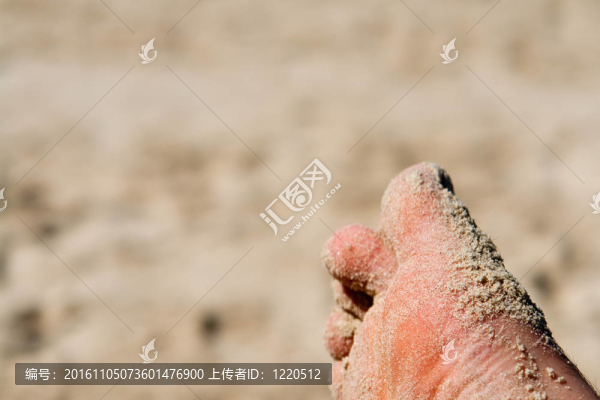 桑迪踩在沙灘上