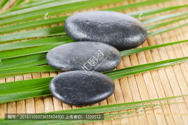 SPA的石頭