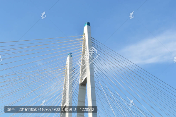 電纜支撐橋在俄羅斯圣彼得堡。