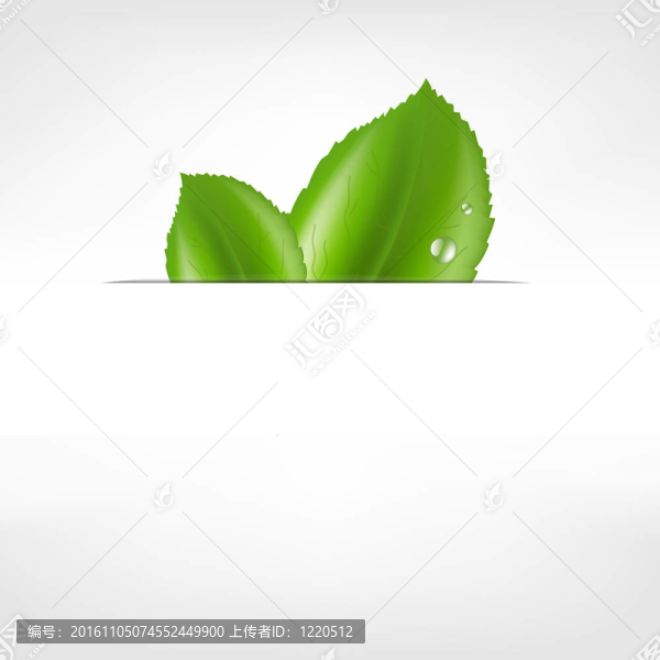 生態(tài)葉