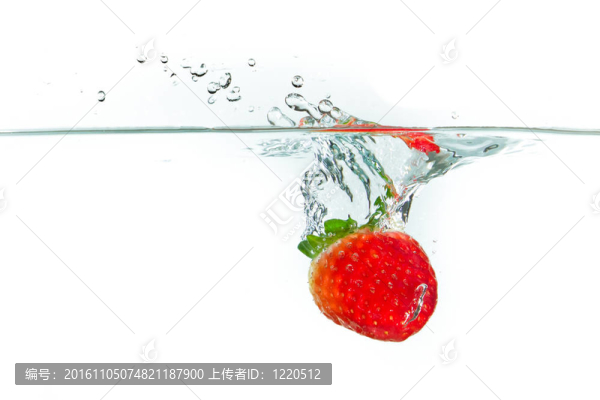 水中草莓