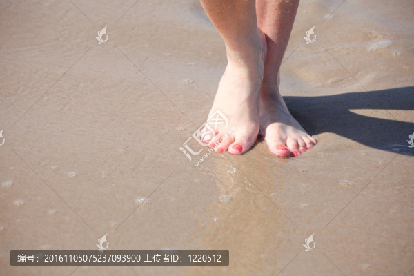 水中的美腿