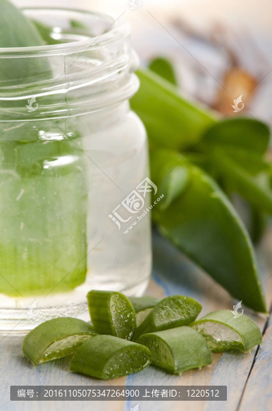 鮮葉蘆薈汁