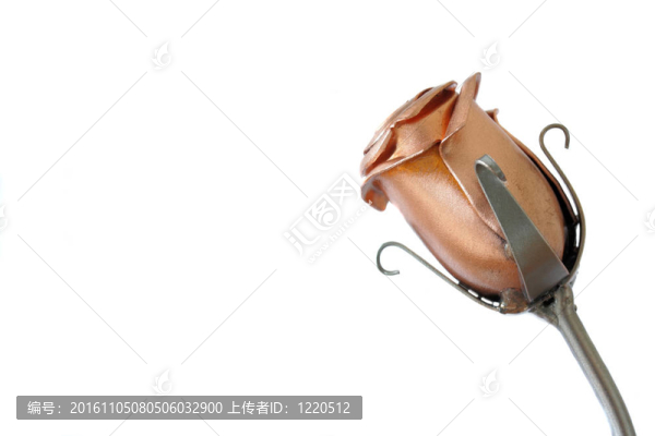 白色金屬玫瑰