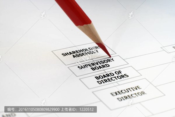 組織結(jié)構(gòu)圖