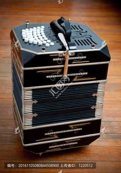 Bandoneon。