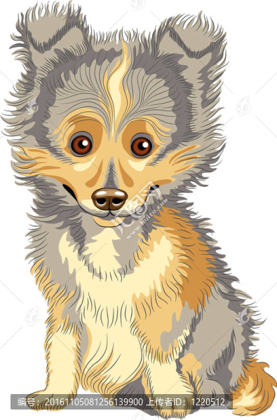 向量的小狗喜樂蒂牧羊犬；牧羊犬；犬的微笑