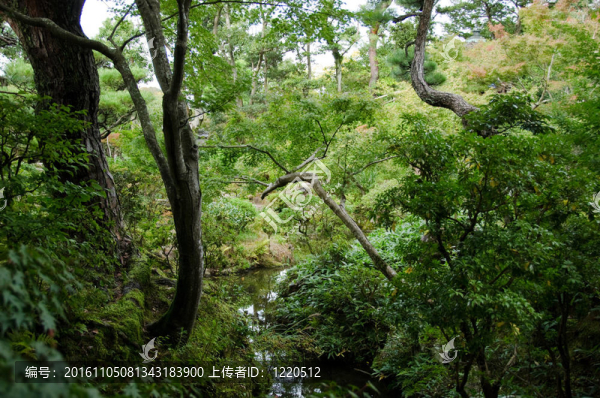 日本式庭園