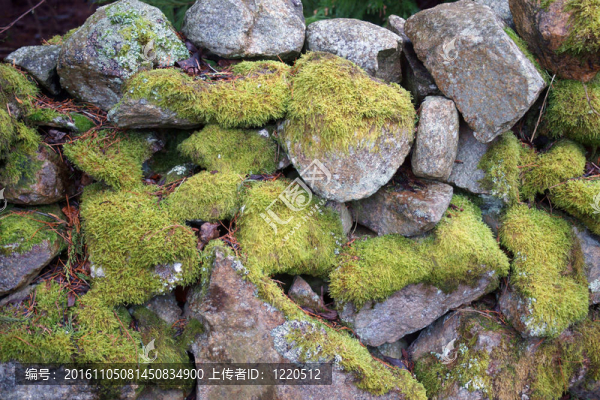 綠石墻風(fēng)化