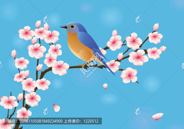 羅賓與櫻花
