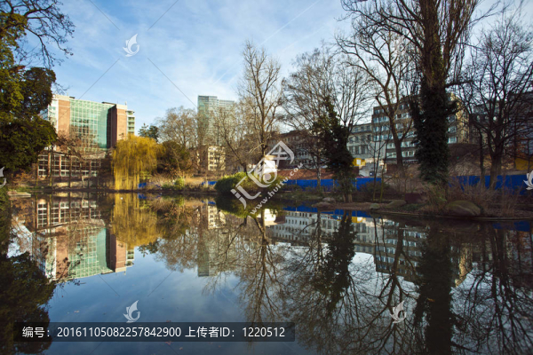 在法蘭克福eschersheimer原基湖；德國(guó)