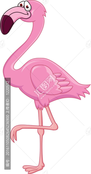 火烈鳥(niǎo)的卡通