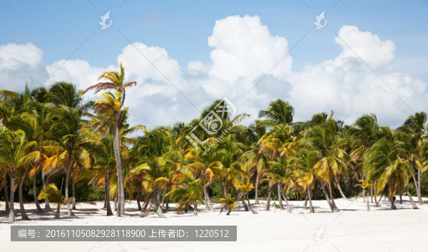 蓋卡納海灘景觀