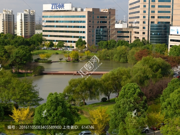 張江科技園湖光秋色