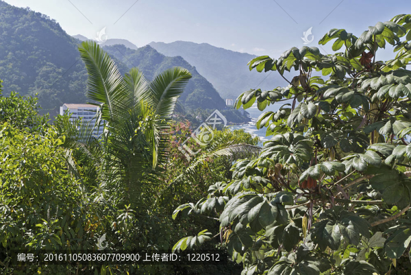 墨西哥太平洋海岸