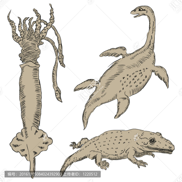 動(dòng)物生物學(xué)