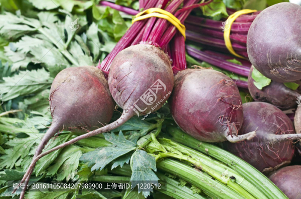 甜菜根