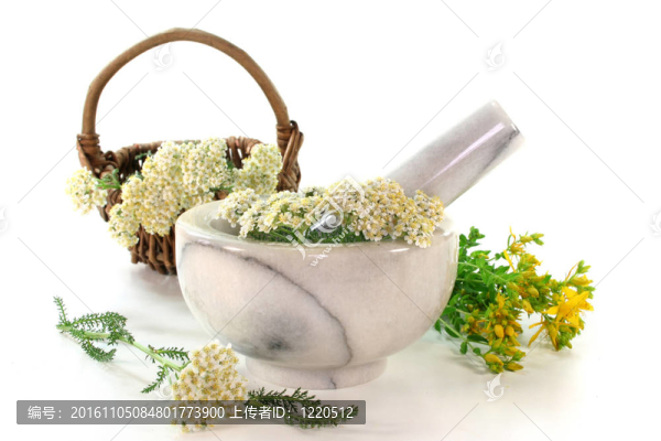 藥材