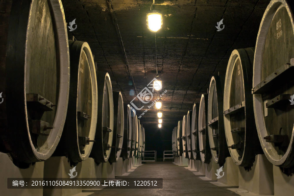 在葡萄酒的酒窖的葡萄酒桶