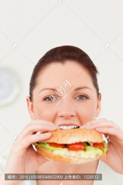 華麗的女人午餐吃三明治