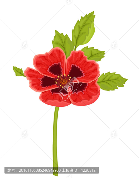 紅色的罌粟花