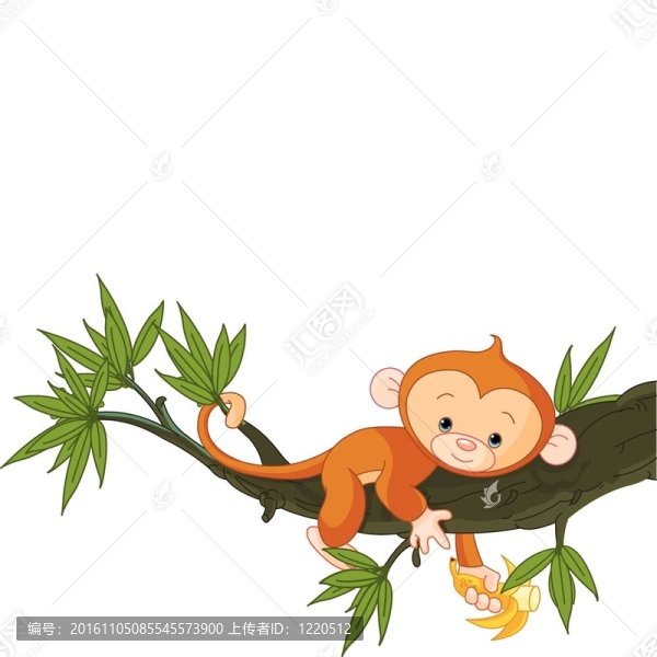 樹上的小猴子