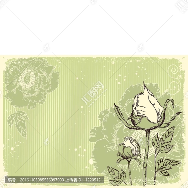 明信片的牡丹花的垃圾