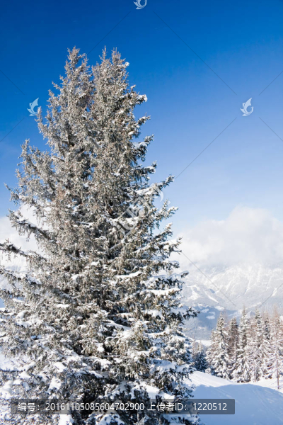 雪下的山。滑雪勝地施拉德明。奧地利