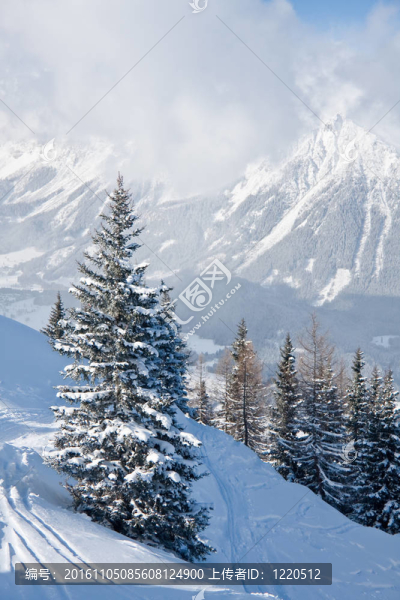 雪下的山?；﹦俚厥├旅鳌W地利