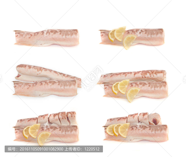 魚王夾收藏