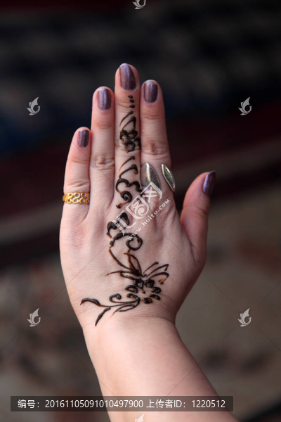 一方面最近畫Henna。在阿拉伯國家指甲花作為臨時紋身的身體部分的一種藝術。