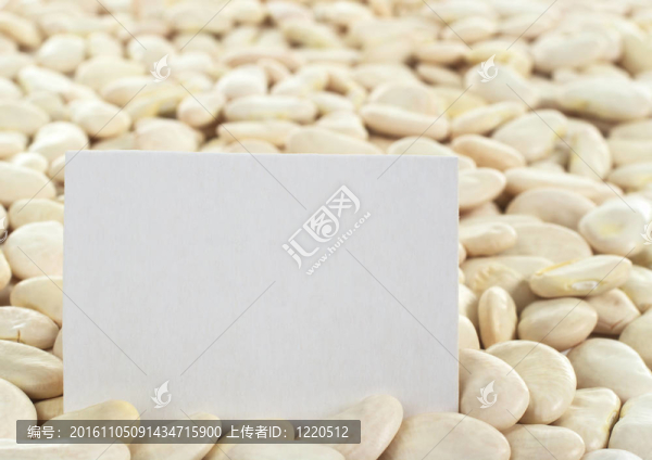 干或也叫利馬豆原醬豆（北緯棉豆）一張空白卡片（選擇性聚焦；卡上的焦點）