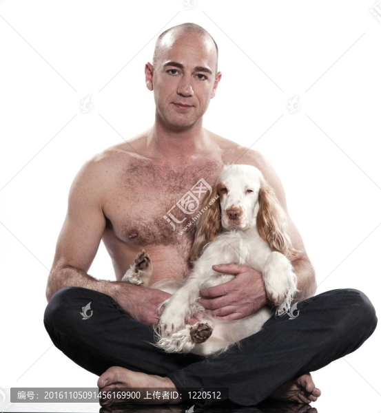 紅色的英國可卡犬