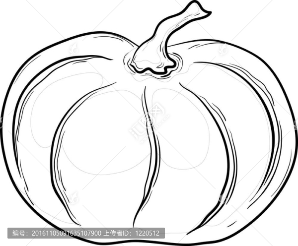 南瓜；輪廓