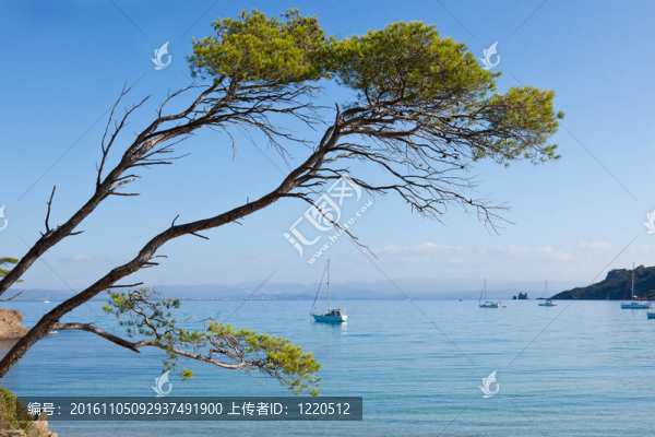 Porquerolles島在法國