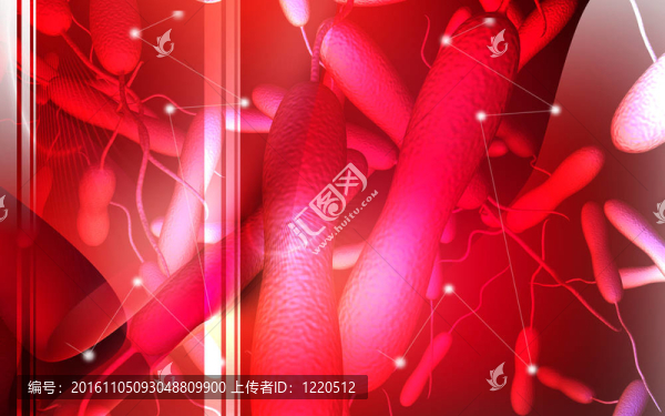 霍亂菌