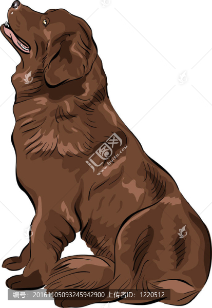 彩色素描狗紐芬蘭島獵犬坐