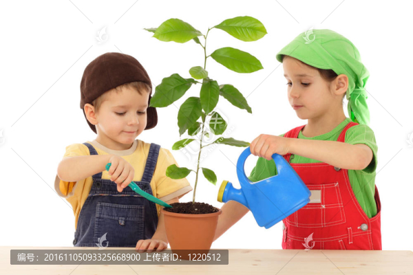 照料植物的小孩；白色隔離