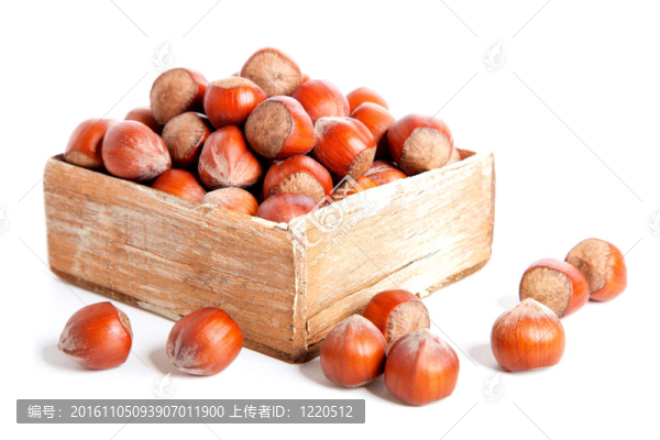 榛子