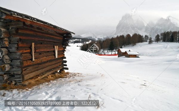 老冬的小屋