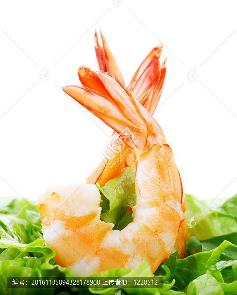蝦仁沙拉