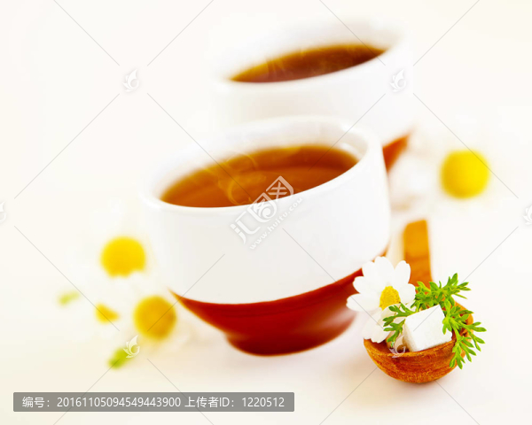 洋甘菊