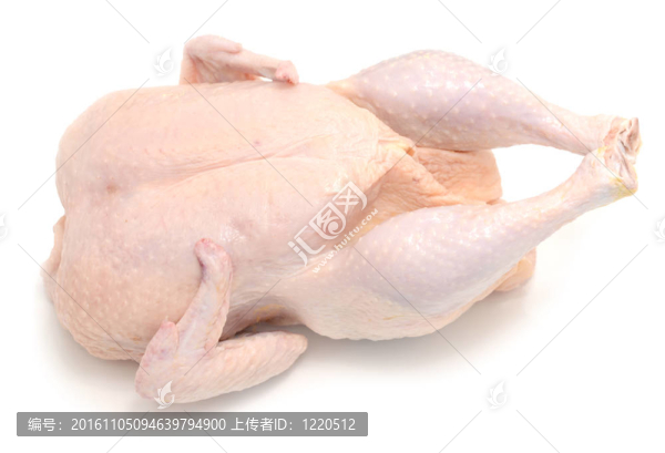 生雞肉